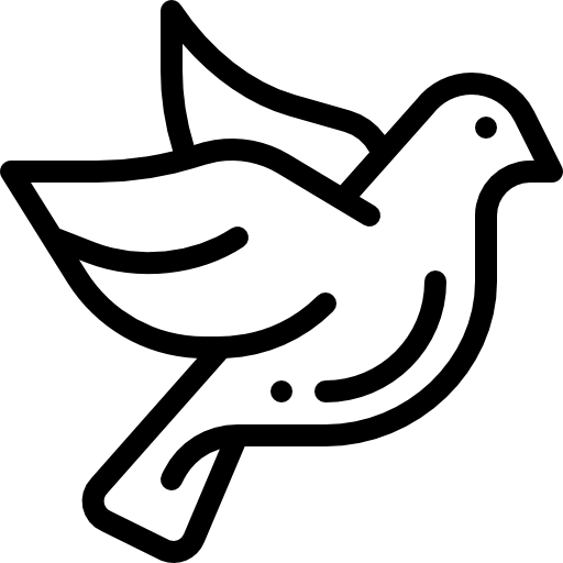 cropped-IMG_7466.png